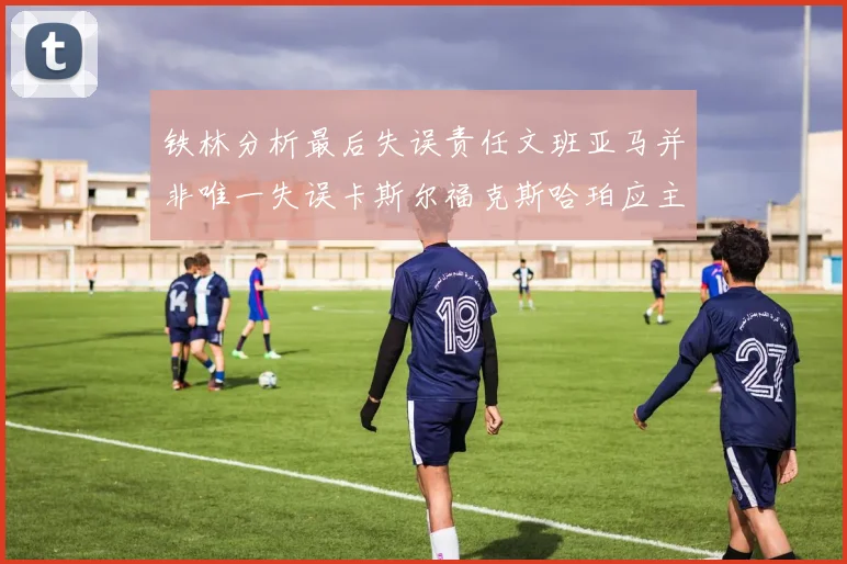 铁林分析最后失误责任文班亚马并非唯一失误卡斯尔福克斯哈珀应主动接球