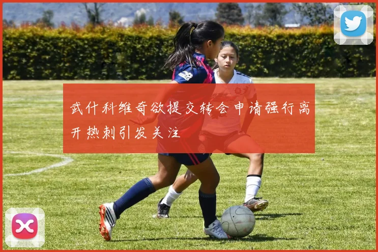 武什科维奇欲提交转会申请强行离开热刺引发关注